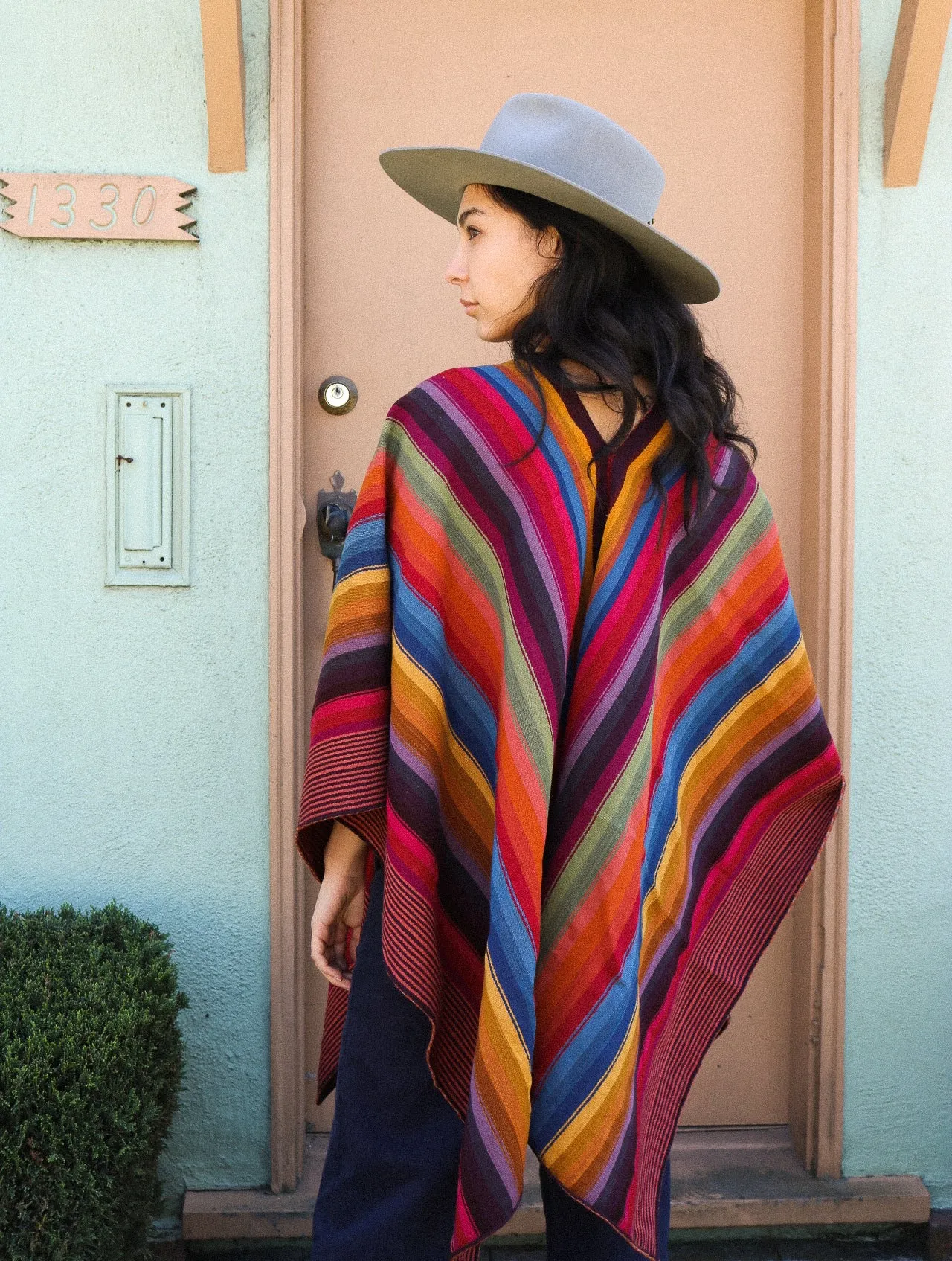 Poncho #9 - Doña Alicia
